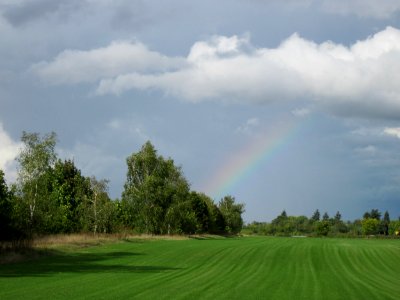 20120924Regenbogen_Altlussheim