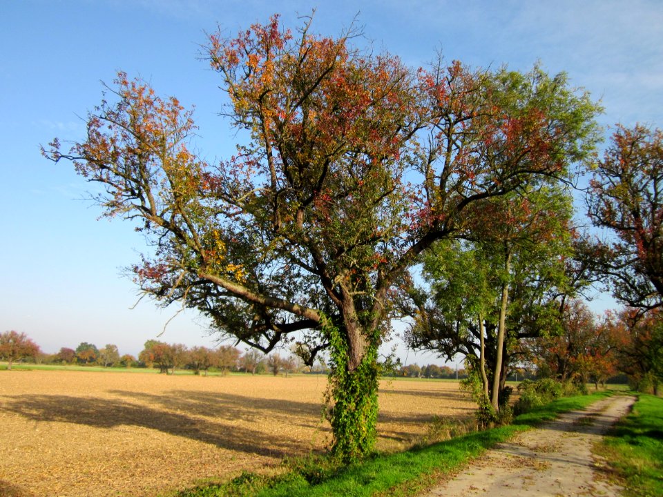 20121021Alte_Landstrasse30