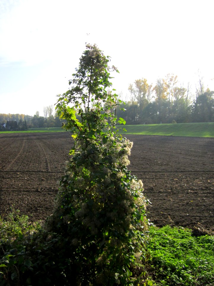 20121021Alte_Landstrasse13