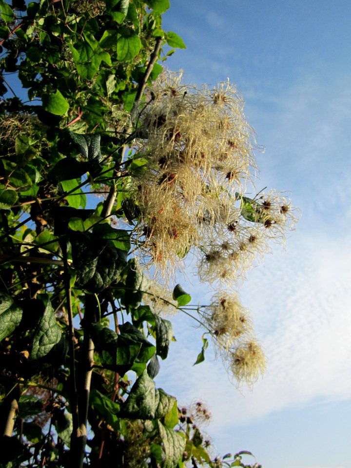 20121021Alte_Landstrasse17