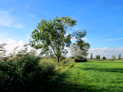 20121005Esche_Hockenheim