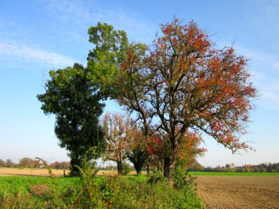20121021Alte_Landstrasse19
