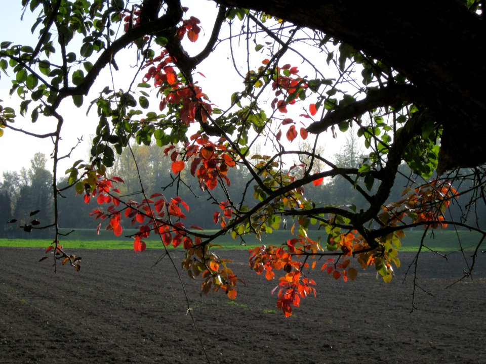 20121021Alte_Landstrasse28