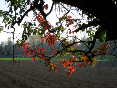 20121021Alte_Landstrasse28