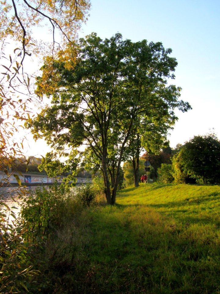 20121001Esche_Saar