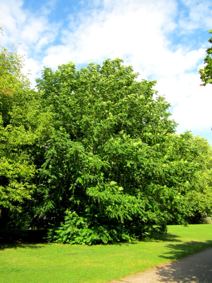 20120807Saar_Saarbruecken02