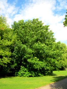 20120807Saar_Saarbruecken02