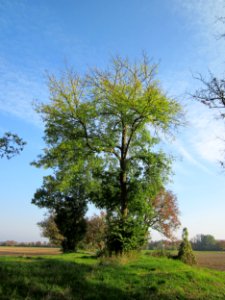 20121021Alte_Landstrasse11