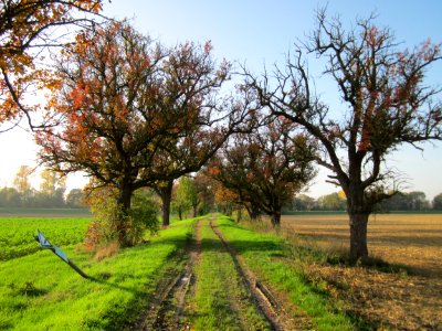 20121021Alte_Landstrasse36