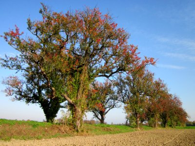 20121021Alte_Landstrasse25