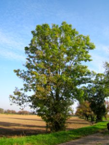 20121021Alte_Landstrasse10