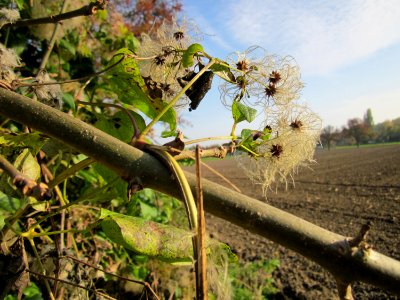 20121021Alte_Landstrasse18
