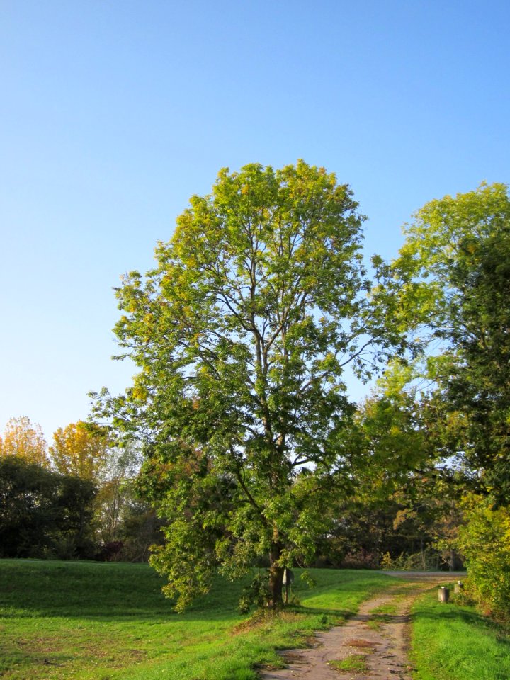 20121021Alte_Landstrasse20