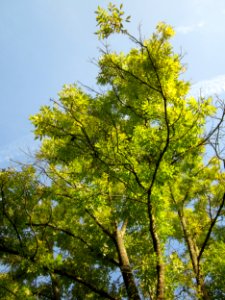 20121019Hartbach10