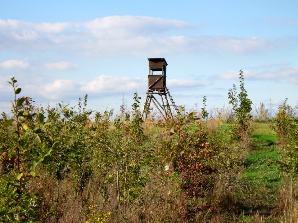 20121007_Roter_Bruch_Walldorf08