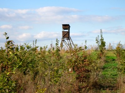 20121007_Roter_Bruch_Walldorf08