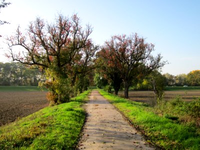 20121021Alte_Landstrasse31