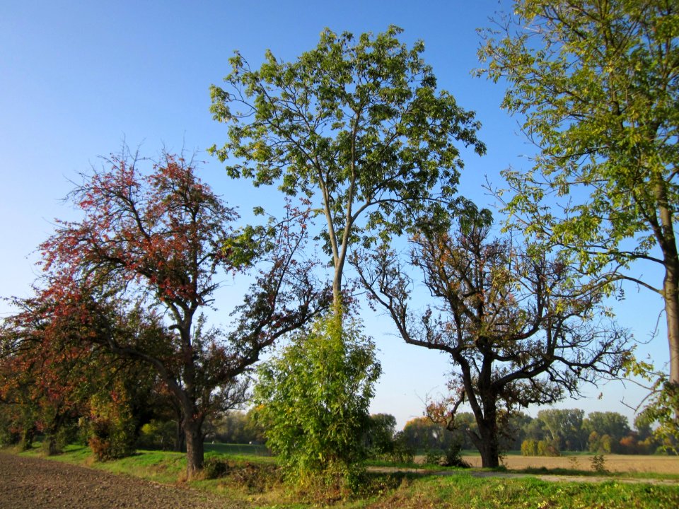 20121021Alte_Landstrasse32