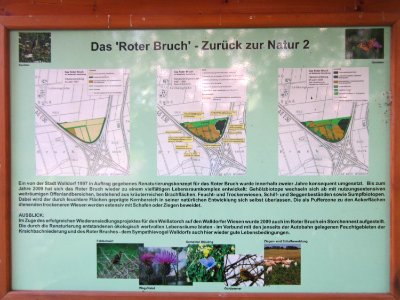 20121007_Roter_Bruch_Walldorf07
