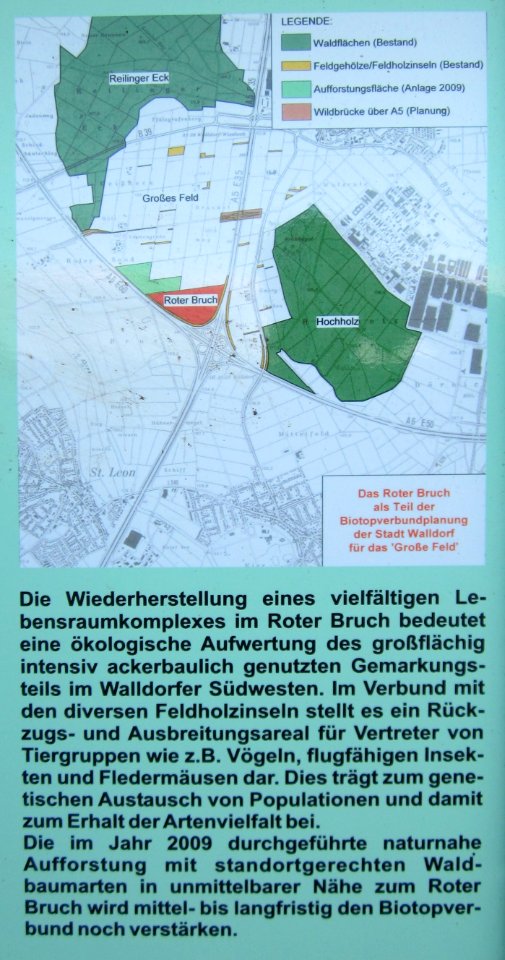 20121007_Roter_Bruch_Walldorf05