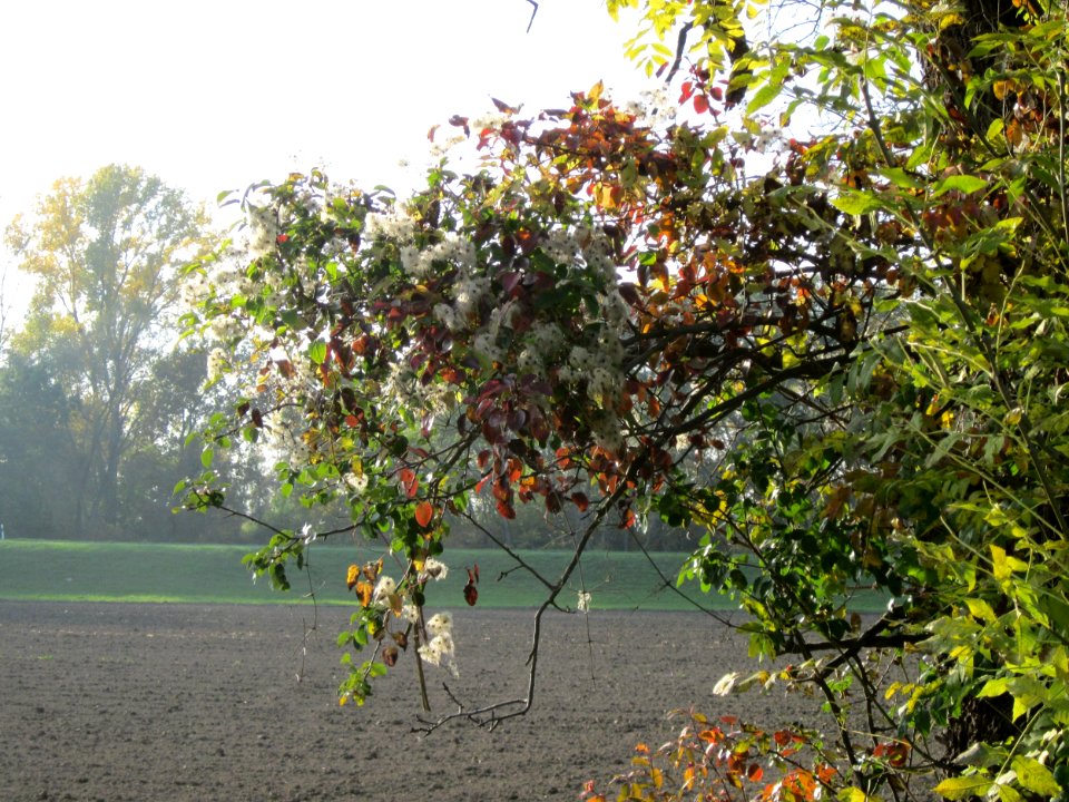 20121021Alte_Landstrasse29