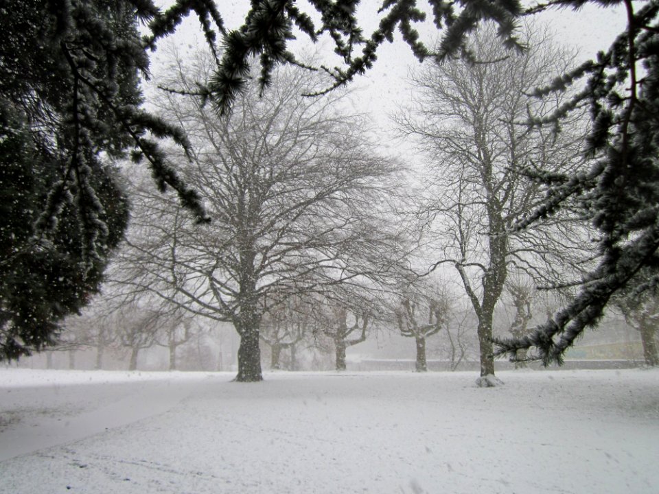 20121207Am_Staden_Saarbruecken3