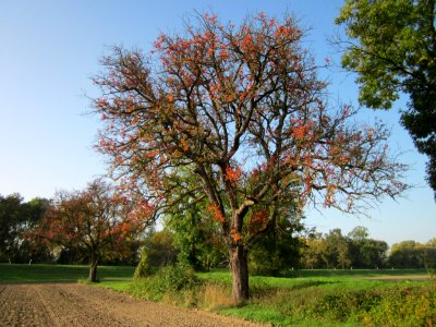 20121021Alte_Landstrasse24