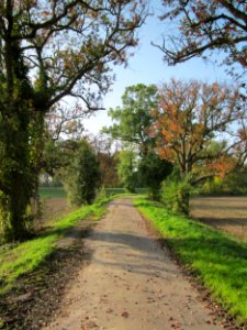 20121021Alte_Landstrasse27