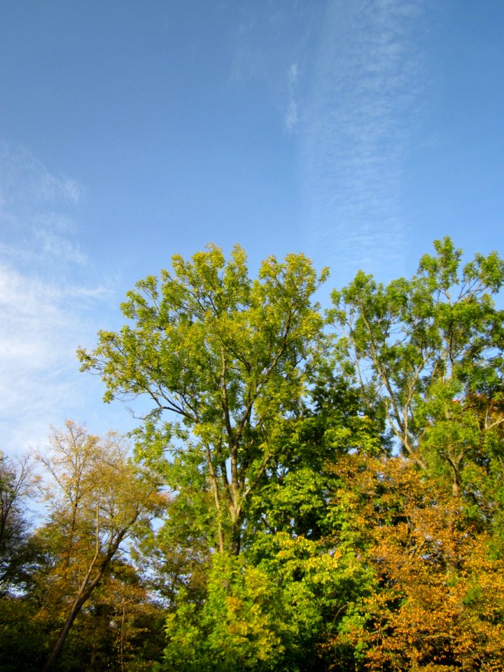 20121019Hartbach14