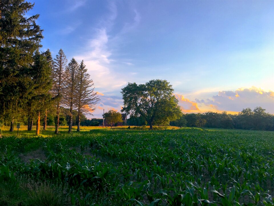 Nature landscape agriculture