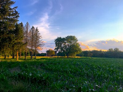 Nature landscape agriculture