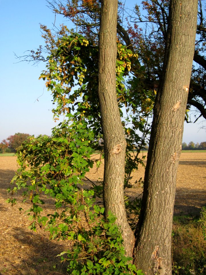 20121021Alte_Landstrasse33