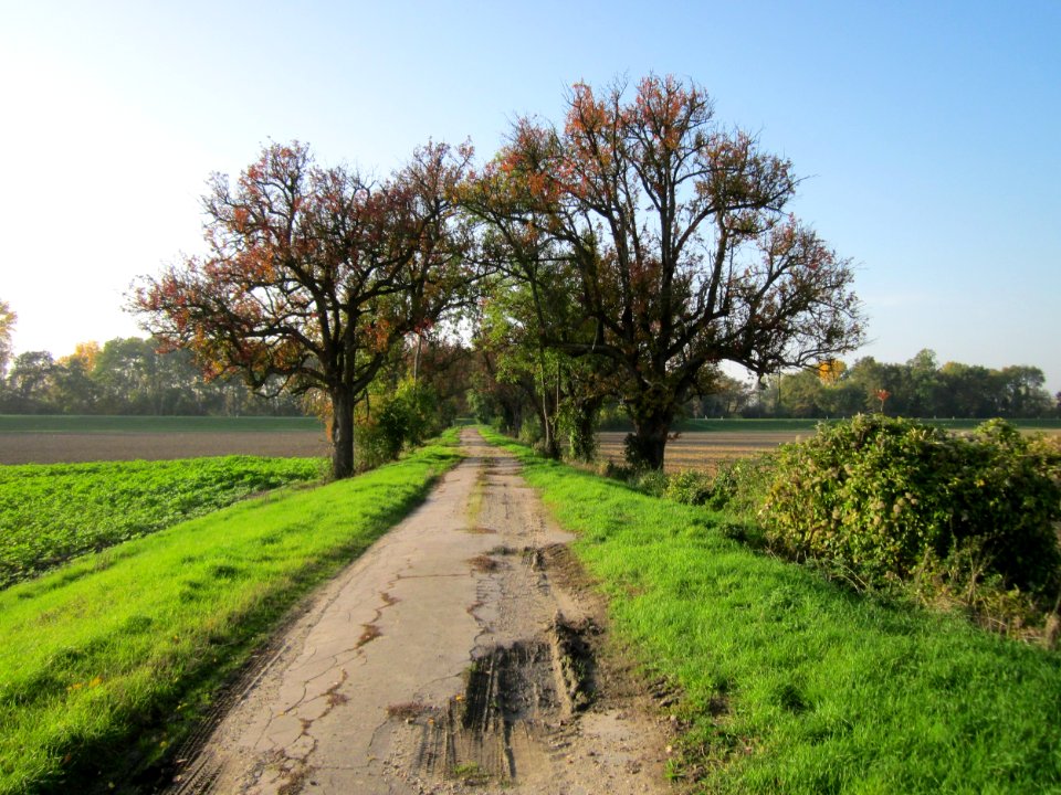 20121021Alte_Landstrasse35