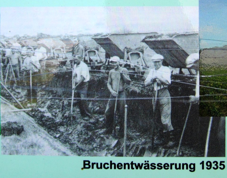 20121007_Roter_Bruch_Walldorf06