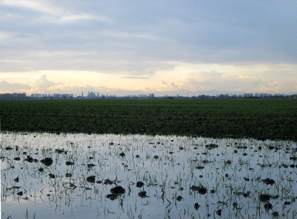 20121218Speyerblick2