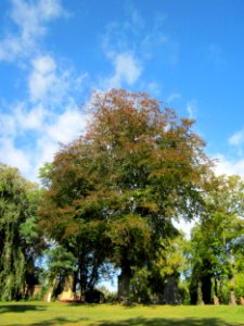 20121002Friedhof_St_Johann4
