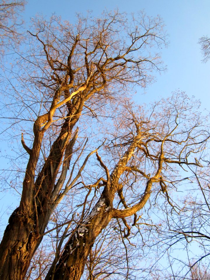 20121208Kaninchenberg1