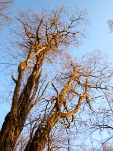 20121208Kaninchenberg1