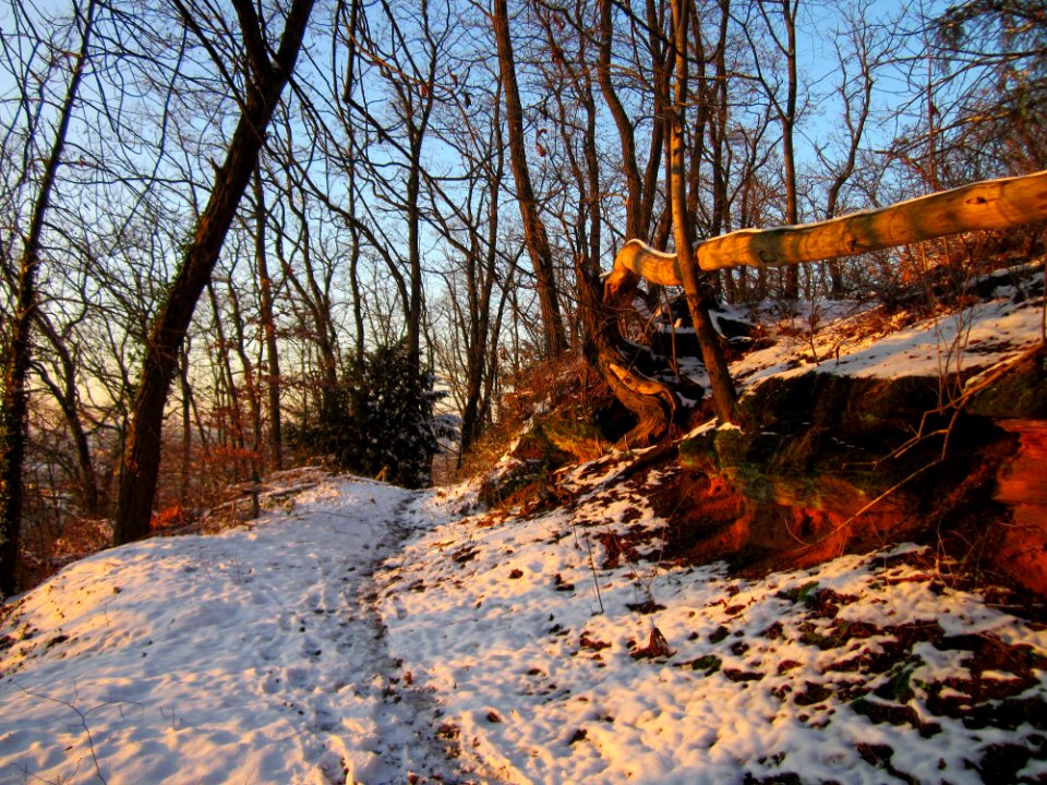 20121208Kaninchenberg4