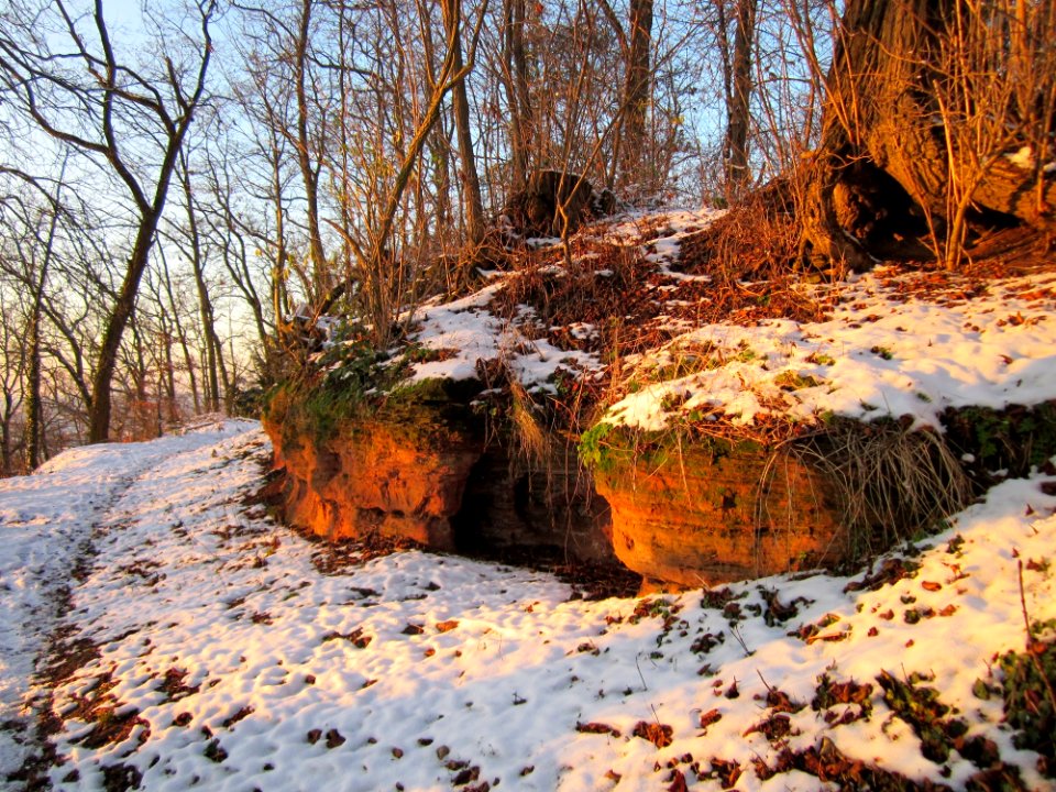 20121208Kaninchenberg7