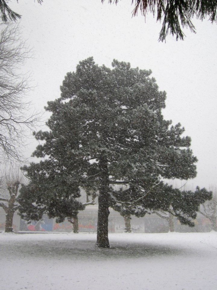 20121207Am_Staden_Saarbruecken4