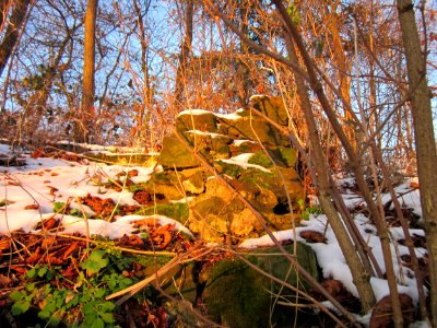 20121208Kaninchenberg3