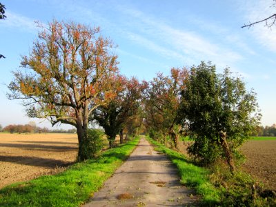 20121021Alte_Landstrasse22