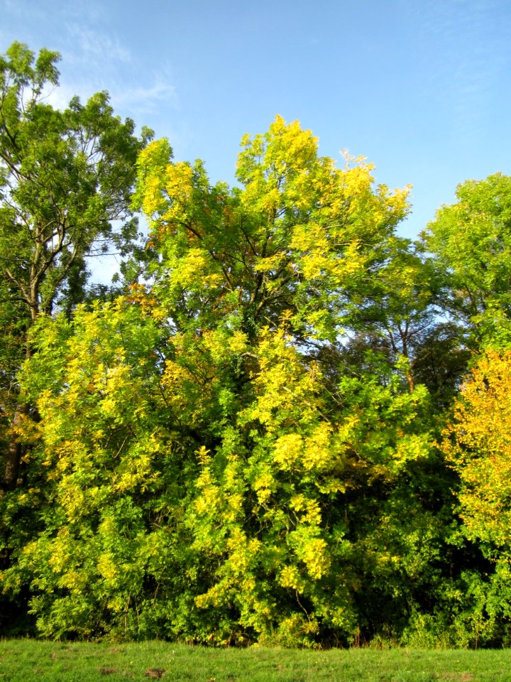 20121019Hartbach13