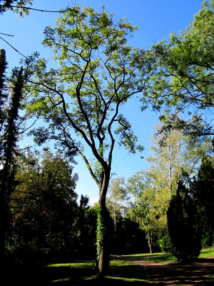 20121002Friedhof_St_Johann5