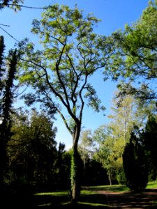20121002Friedhof_St_Johann5