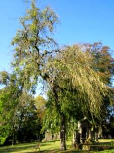 20121002Friedhof_St_Johann2