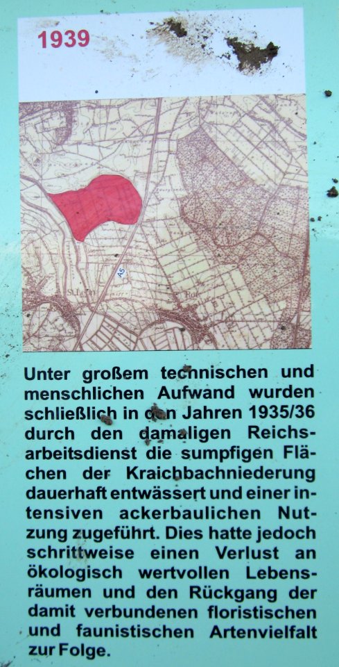 20121007_Roter_Bruch_Walldorf03
