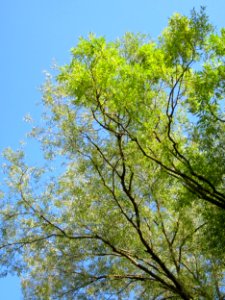 20120807Saar_Saarbruecken08