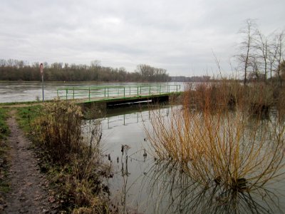 20121222Kriegbach4